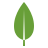 MongoDB skill